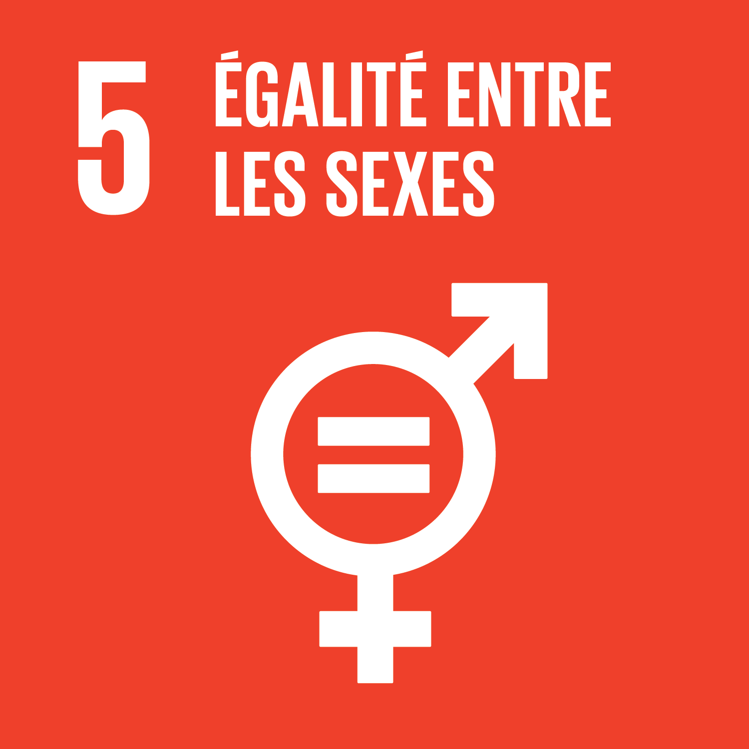 ONU Objectif 5 : Égalité entre les sexes