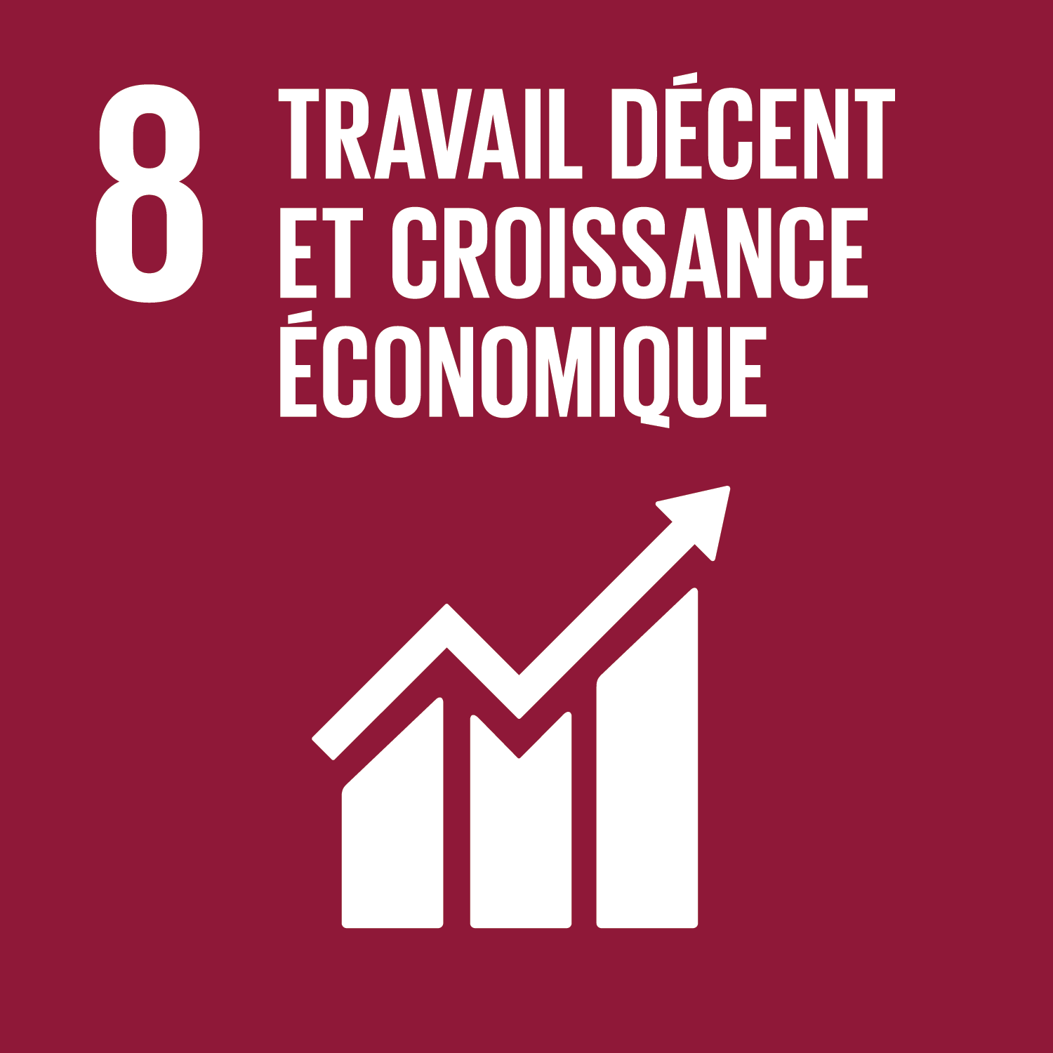 ONU Objectif 8 : Travail décent et croissance économique