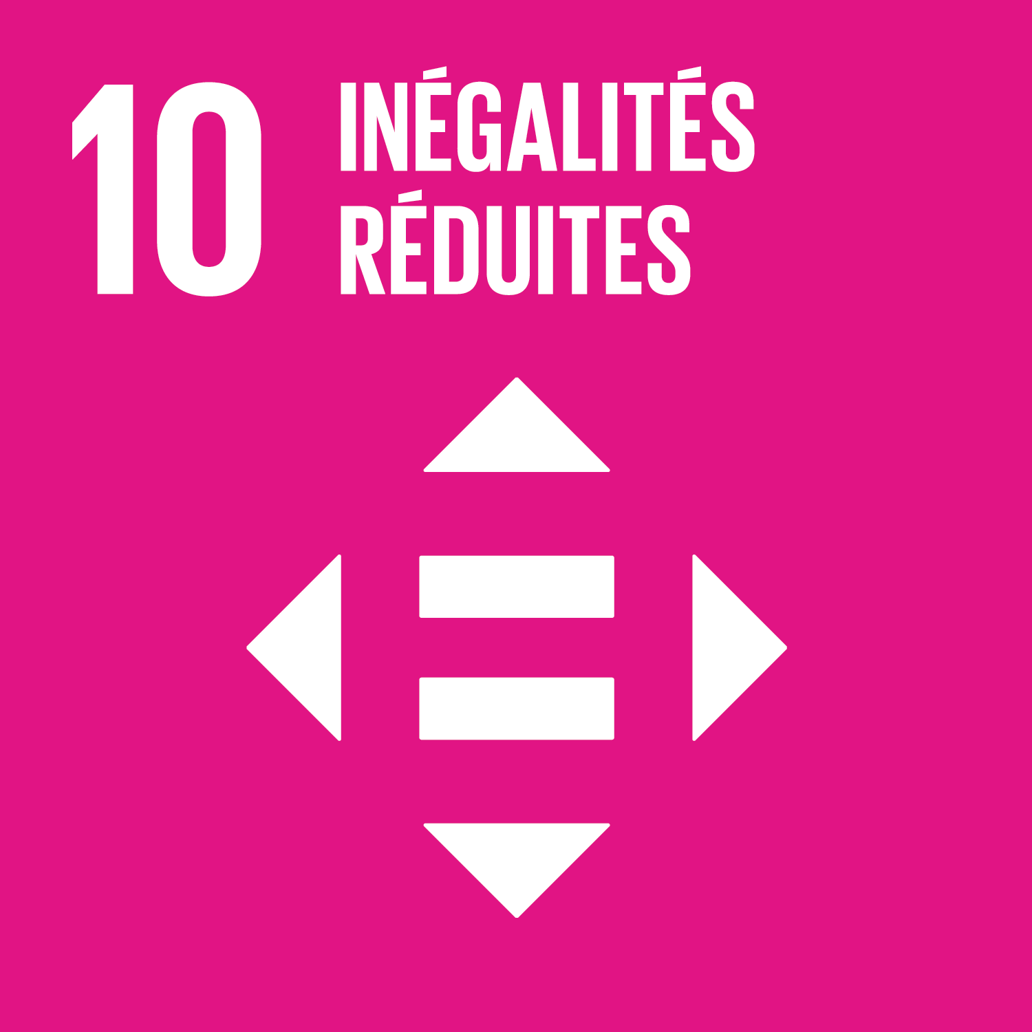 ONU Objectif 10 : Inégalités réduites