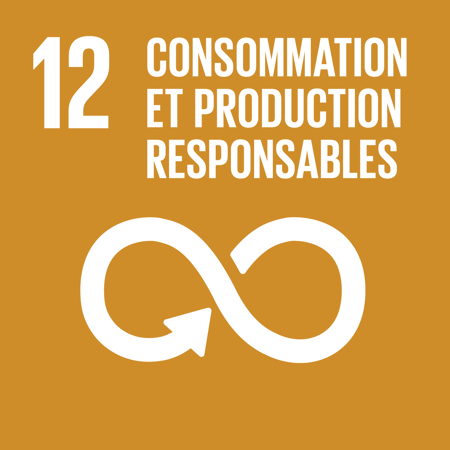 ONU Objectif 12 : Consommation et production durables