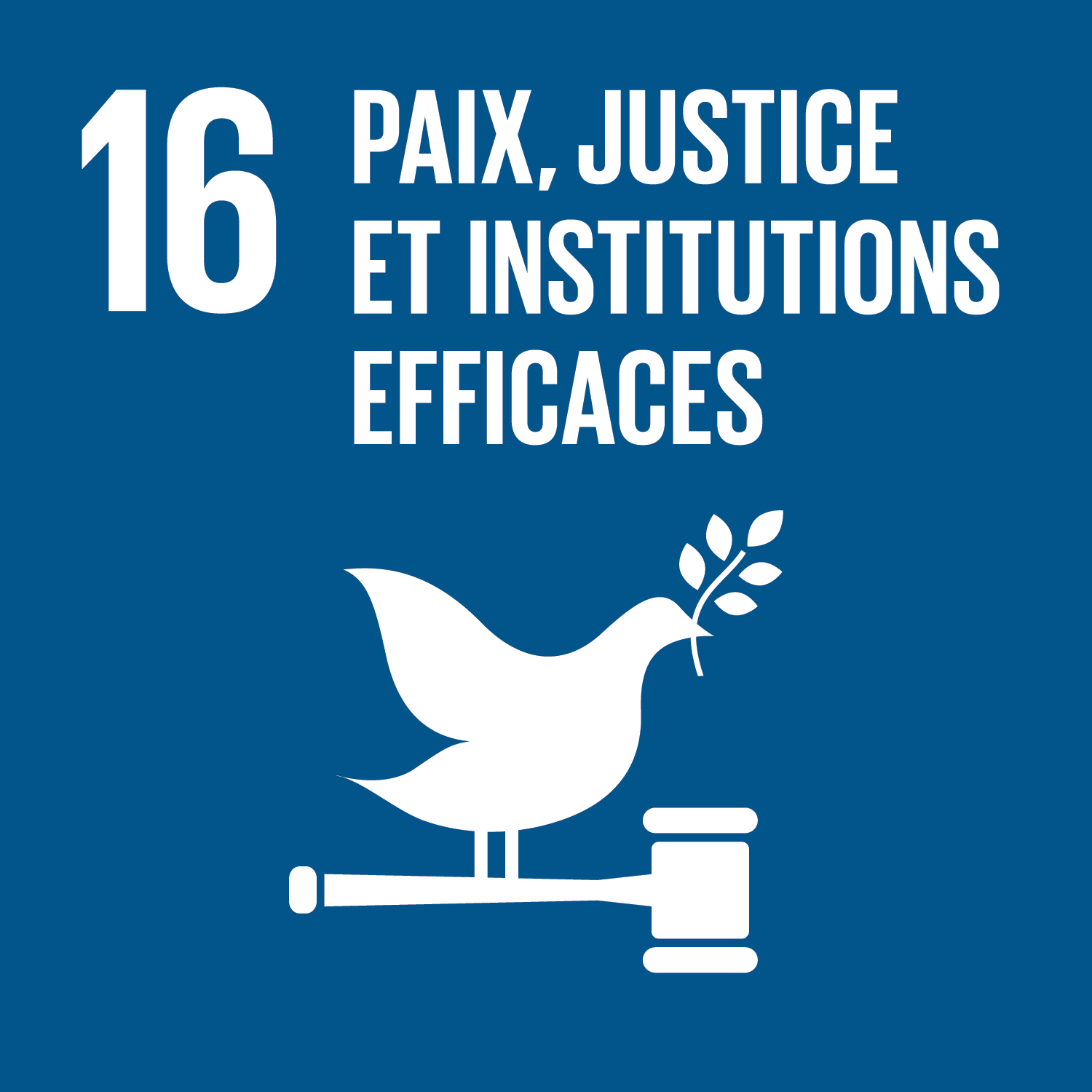 ONU Objectif 16 : Paix, justice et institutions efficaces