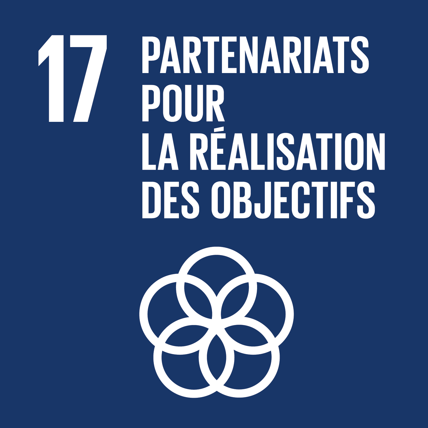 ONU Objectif 17 : Partenariats pour la réalisation des objectifs